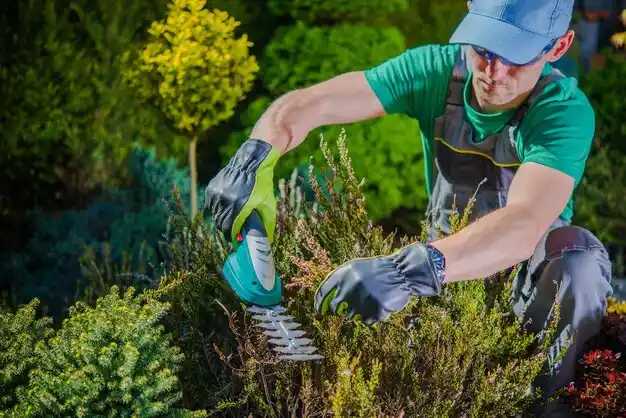 landscaping services Sharon